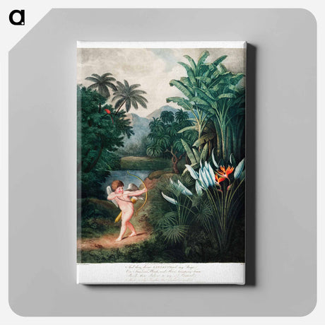 アートパネル-Cupid Inspiring Plants with Love
 - ロバート ジョン ソーントン Canvas.
