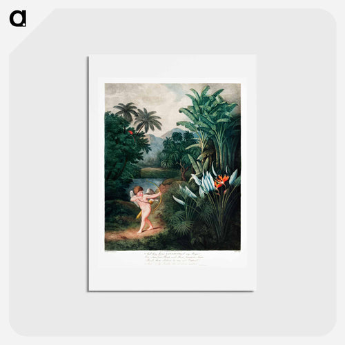 Cupid Inspiring Plants with Love
 - Robert John Thornton Postcard.