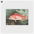 1-4_Samuel-Kilbourne_postcard