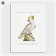1-4_Saverio-Manetti_picture