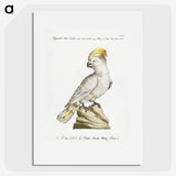1-4_Saverio-Manetti_picture