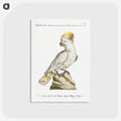 1-4_Saverio-Manetti_postcard