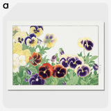 1-4_Seiyo-Soka-Zufu_picture-crop