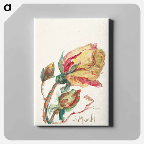 Rose
 - Sienje Mesdag van Houten Canvas.