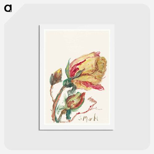 Rose
 - Sienje Mesdag van Houten Postcard.