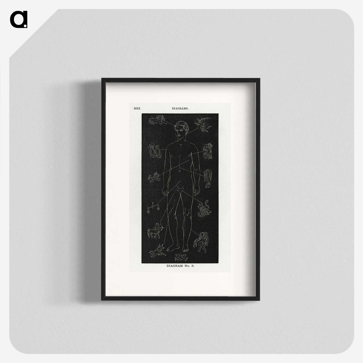 1-4_Solar-Biology_blk