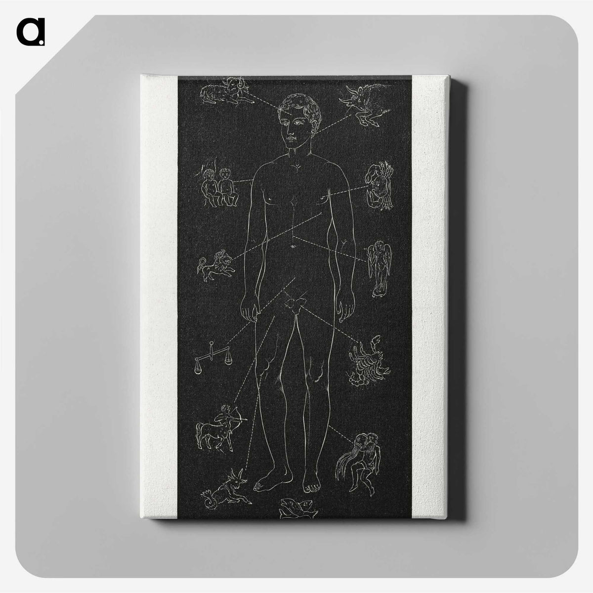 1-4_Solar-Biology_canvas