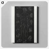 1-4_Solar-Biology_canvas