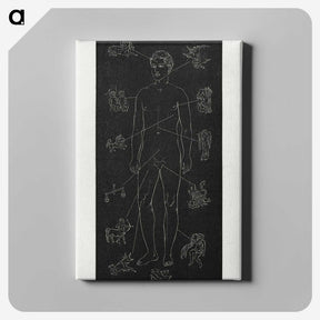 1-4_Solar-Biology_canvas