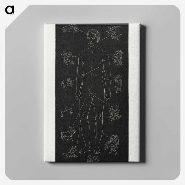 1-4_Solar-Biology_canvas