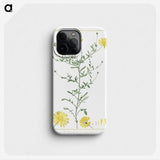 1-4_Stirpes-Novae_phone
