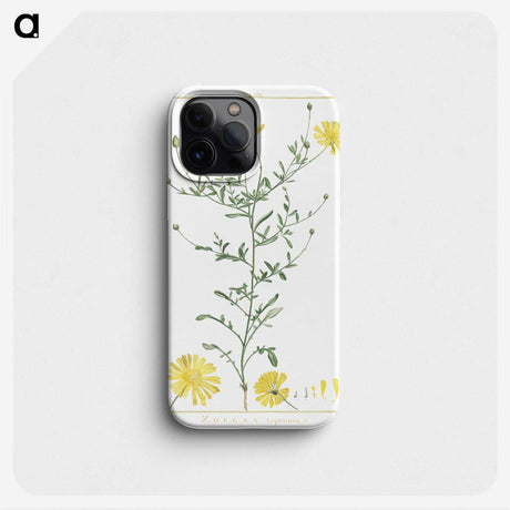 1-4_Stirpes-Novae_phone