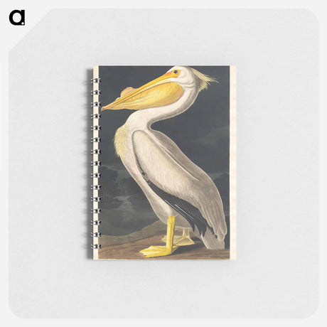 アートメモ帳-American White Pelican from Birds of America
 - アメリカの鳥たち Memo.