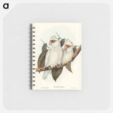 アートメモ帳-Long-billed Cockatoo
 - オーストラリアの鳥 Memo.