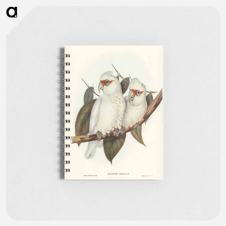 アートメモ帳-Long-billed Cockatoo
 - オーストラリアの鳥 Memo.