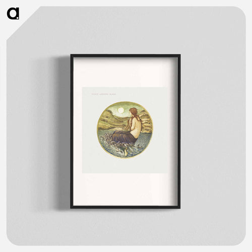 Venus' Looking Glass
 - フラワーブック Poster.