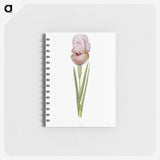 1-4_The-Genus-Iris_memo