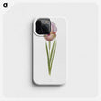 1-4_The-Genus-Iris_phone