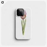 1-4_The-Genus-Iris_phone