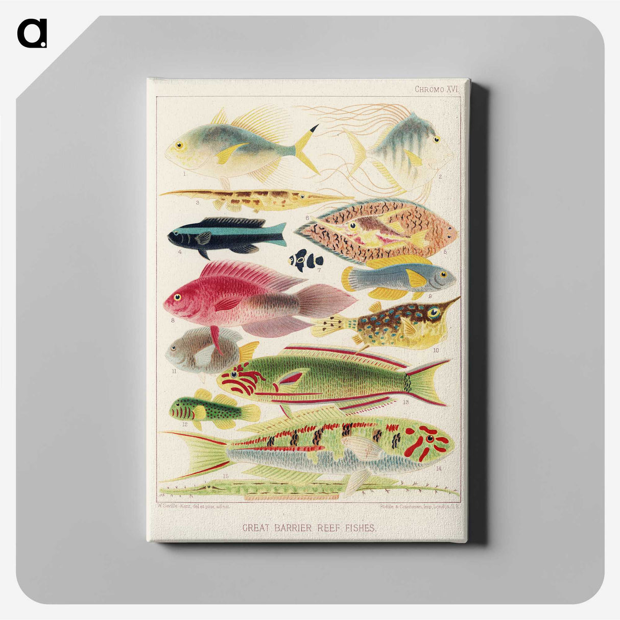 1-4_The-Great-Barrier-Reef-of-Australia_canvas