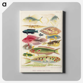 1-4_The-Great-Barrier-Reef-of-Australia_canvas