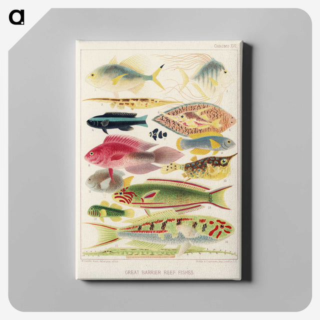 1-4_The-Great-Barrier-Reef-of-Australia_canvas