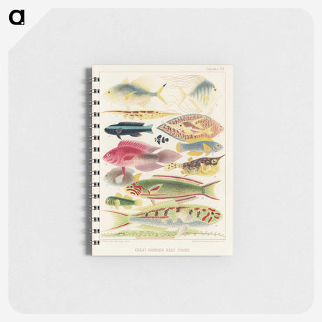 1-4_The-Great-Barrier-Reef-of-Australia_memo