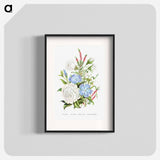 アートポスター-Periwinkle, Snowdrop, White Rose and Common Heath from The Language of Flowers, or, Floral Emblems of Thoughts, Feelings, and Sentiments
 - 花言葉 Poster.