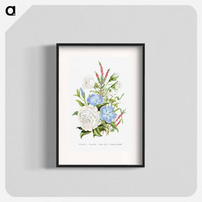 アートポスター-Periwinkle, Snowdrop, White Rose and Common Heath from The Language of Flowers, or, Floral Emblems of Thoughts, Feelings, and Sentiments
 - 花言葉 Poster.