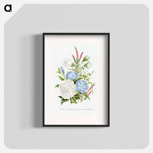 Periwinkle, Snowdrop, White Rose and Common Heath from The Language of Flowers, or, Floral Emblems of Thoughts, Feelings, and Sentiments
 - Flower Language Poster.