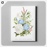 アートパネル-Periwinkle, Snowdrop, White Rose and Common Heath from The Language of Flowers, or, Floral Emblems of Thoughts, Feelings, and Sentiments
 - 花言葉 Canvas.