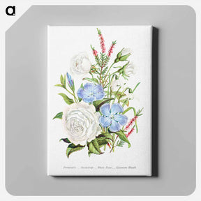 アートパネル-Periwinkle, Snowdrop, White Rose and Common Heath from The Language of Flowers, or, Floral Emblems of Thoughts, Feelings, and Sentiments
 - 花言葉 Canvas.