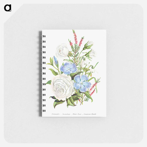 Periwinkle, Snowdrop, White Rose and Common Heath from The Language of Flowers, or, Floral Emblems of Thoughts, Feelings, and Sentiments
 - Flower Language Memo.