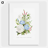 アートポスター-Periwinkle, Snowdrop, White Rose and Common Heath from The Language of Flowers, or, Floral Emblems of Thoughts, Feelings, and Sentiments
 - 花言葉 Poster.
