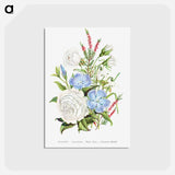 アートポストカード-Periwinkle, Snowdrop, White Rose and Common Heath from The Language of Flowers, or, Floral Emblems of Thoughts, Feelings, and Sentiments
 - 花言葉 Postcard.