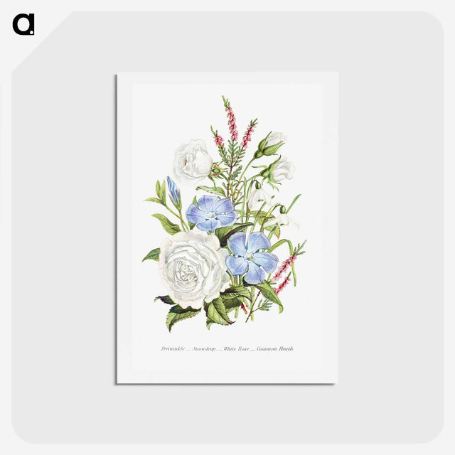 1-4_The-Language-of-Flowers_hagaki