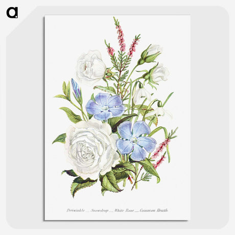 1-4_The-Language-of-Flowers_picture-crop