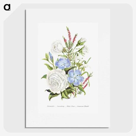 1-4_The-Language-of-Flowers_picture