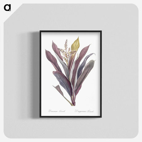1-4_The-Lilies_blk-crop