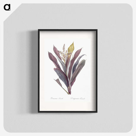 1-4_The-Lilies_blk