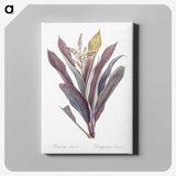 1-4_The-Lilies_canvas
