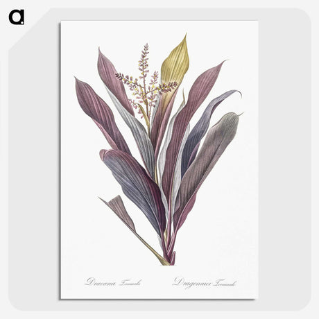 1-4_The-Lilies_picture-crop