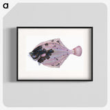 1-4_The-Natural-History-of-British-Fishes_blk