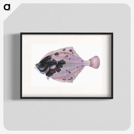 1-4_The-Natural-History-of-British-Fishes_blk