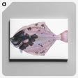 1-4_The-Natural-History-of-British-Fishes_canvas