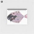 1-4_The-Natural-History-of-British-Fishes_memo