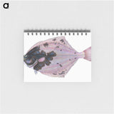 1-4_The-Natural-History-of-British-Fishes_memo