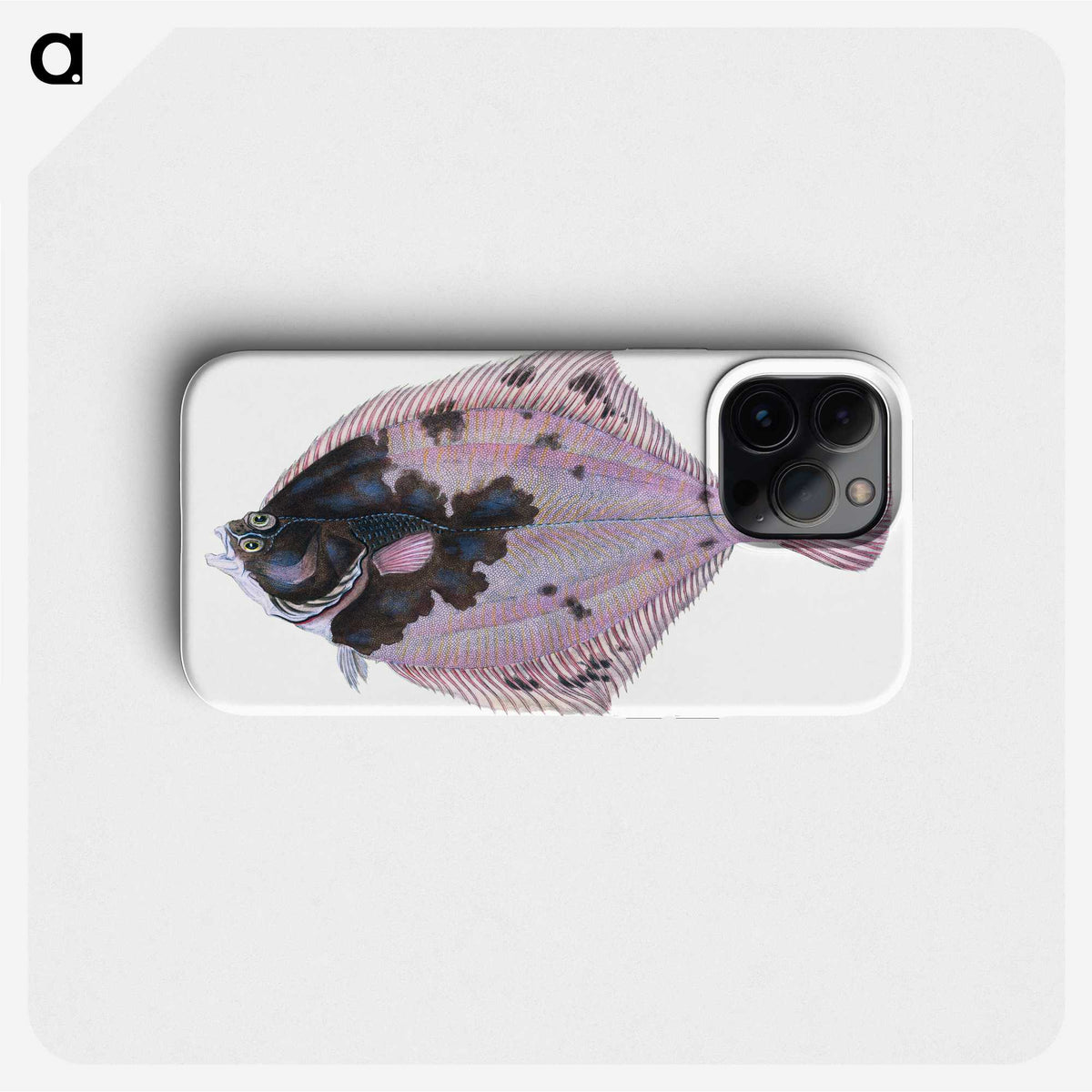1-4_The-Natural-History-of-British-Fishes_phone