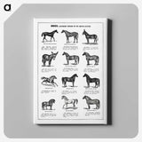1-4_The-Open-Door-to-Independence_canvas