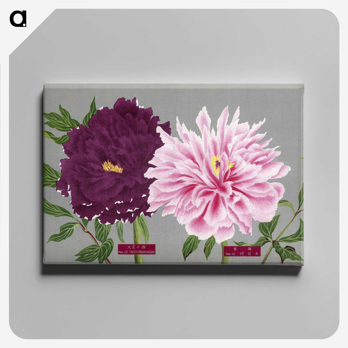 1-4_The-Picture-Book-of-Peonies_canvas